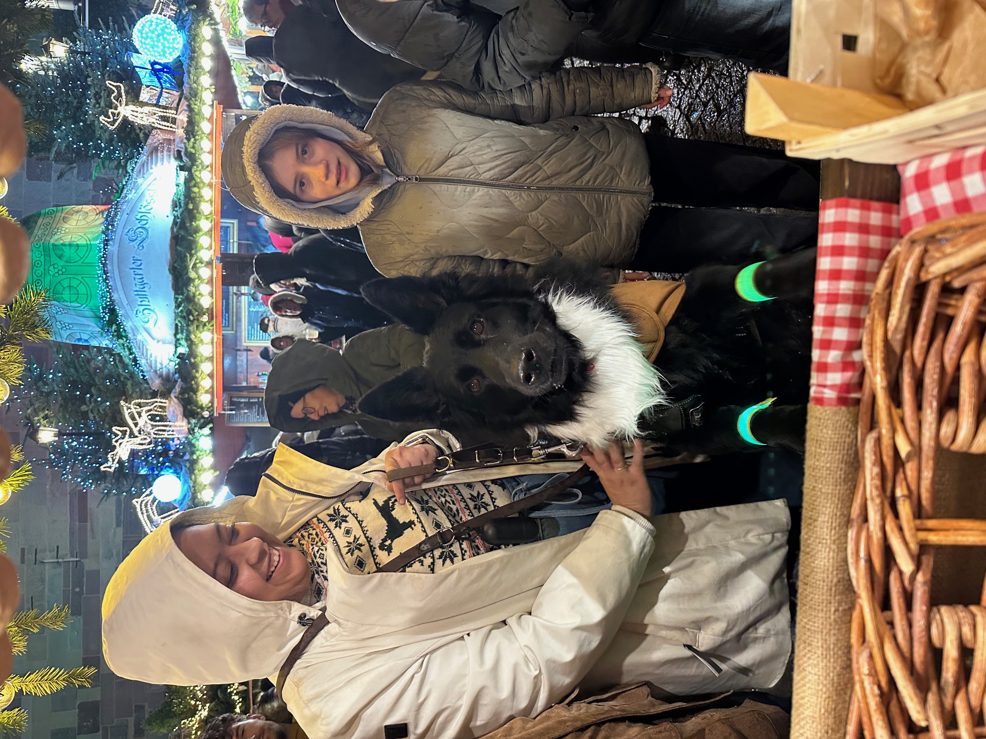 Langhaar Sch&auml;ferhund HEINRICH