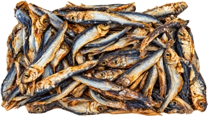 Mr-Wilson-Silling-getrockneter-Fisch