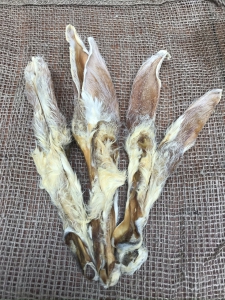 Mr-Wilsons-bunny--ears-with-fur